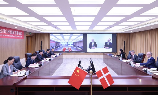 公司與丹麥<span class=